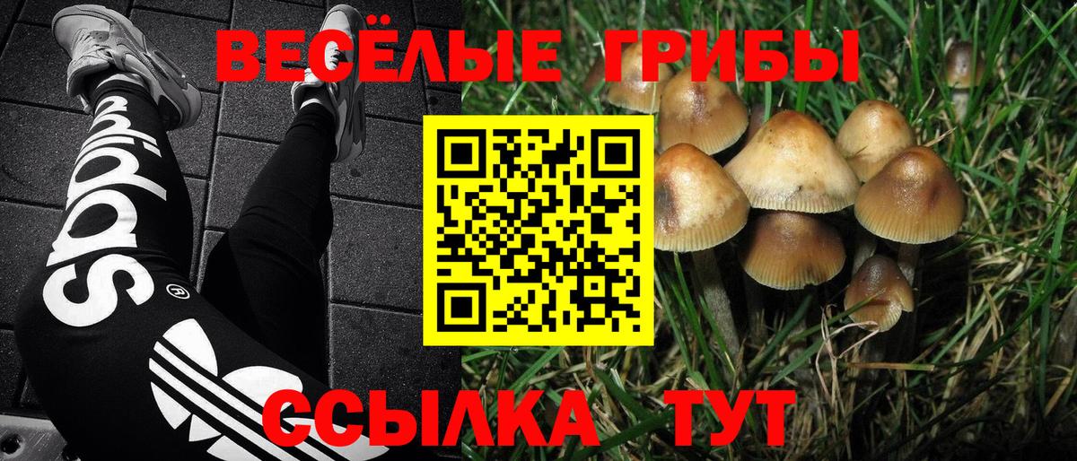 Псилоцибиновые грибы GOLDEN TEACHER  Псилоцибиновые грибы ЛСД  Вход с VPN  закладка  Воскресенск 