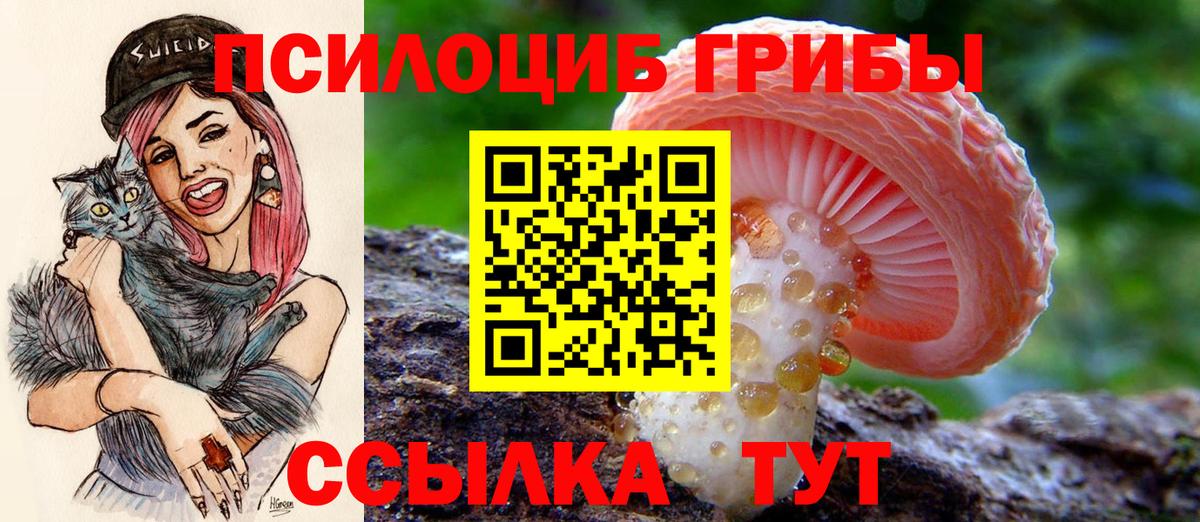 Галлюциногенные грибы Magic Shrooms Воскресенск